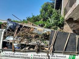 Best Moving and Downsizing Cleanouts  in Randolph, WI
